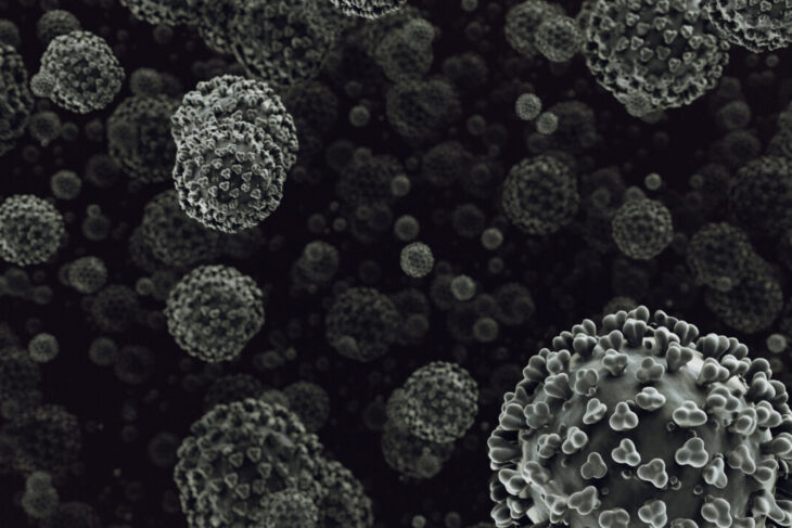 hantavirus:-misterioasa-boala-din-timpul-razboiului-din-coreea-care-a-ucis-250-de-soldati