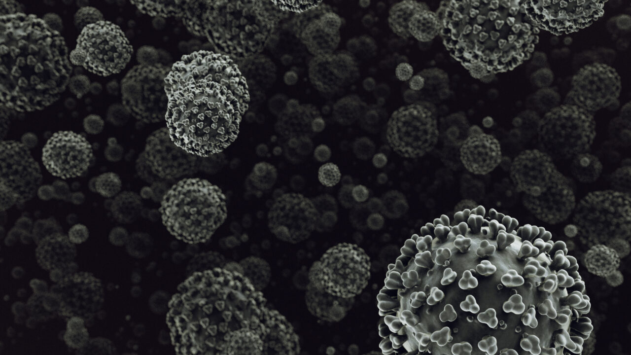 hantavirus:-misterioasa-boala-din-timpul-razboiului-din-coreea-care-a-ucis-250-de-soldati