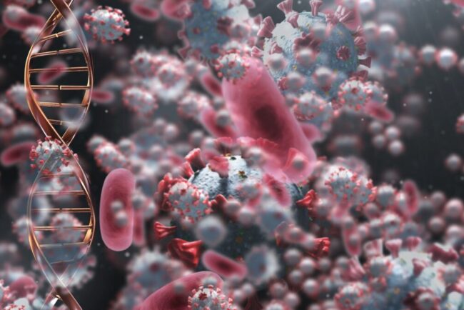 simptomele-virusului-care-a-speriat-america.-ce-trebuie-sa-stii-despre-hantavirus