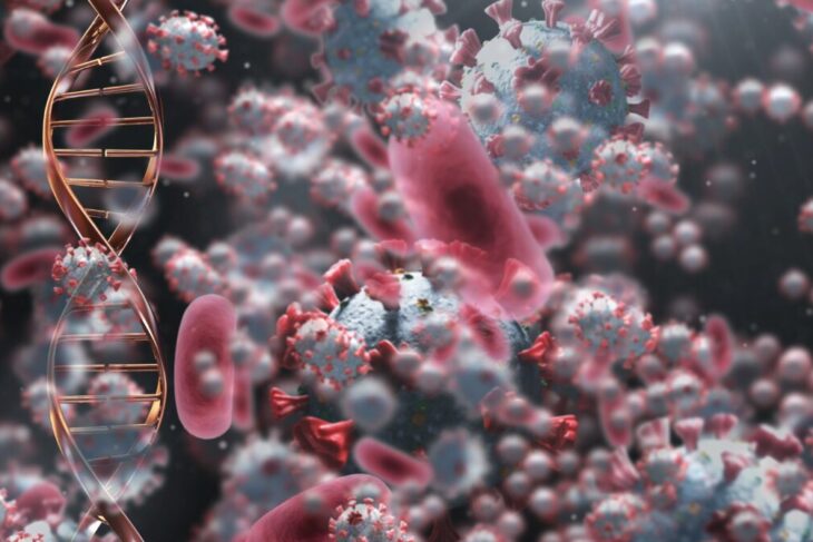 simptomele-virusului-care-a-speriat-america.-ce-trebuie-sa-stii-despre-hantavirus