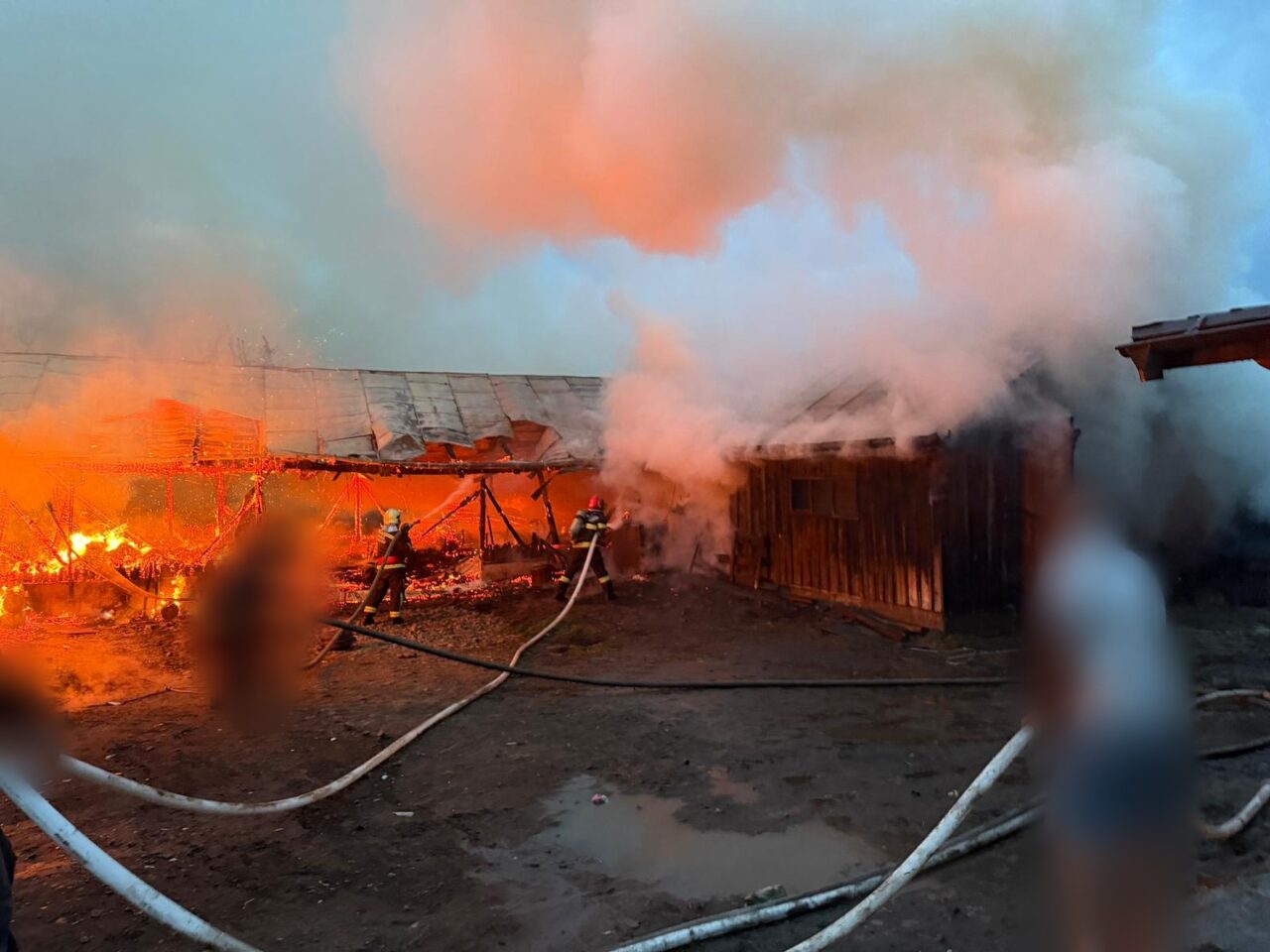 un-adapost-de-animale-din-judetul-suceava-s-a-facut-scrum.-exista-pericol-de-propagare-a-incendiului-la-alte-constructii-din-proximitate