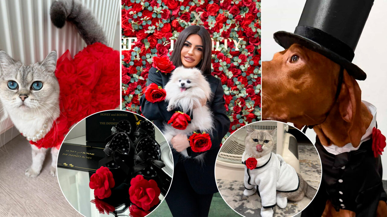 haute-couture-pentru-pisici-si-catei.-povestea-romancei-care-transforma-animalele-de-companie-in-vedete-de-podium