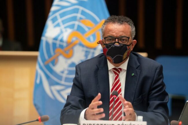 oms-cere-statelor-sa-se-pregateasca-pentru-noi-cazuri-de-hantavirus,-dupa-focarul-de-pe-mv-hondius