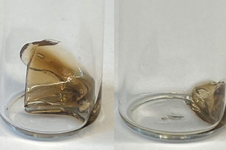 a-fost-inventat-plasticul-care-se-autodistruge-la-comanda.-dispare-in-sase-zile,-fara-sa-lase-urme-de-microplastice