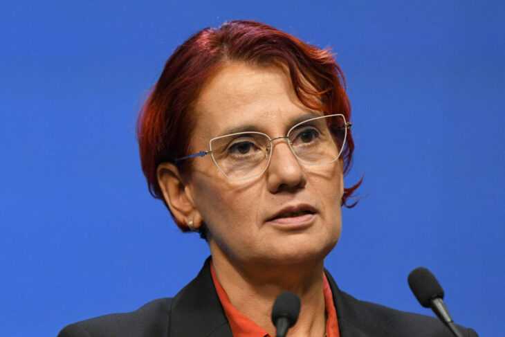 ioana-dogioiu,-despre-legatura-dintre-ilie-bolojan-si-fratii-micula:-declaratii-politice-fara-niciun-substrat