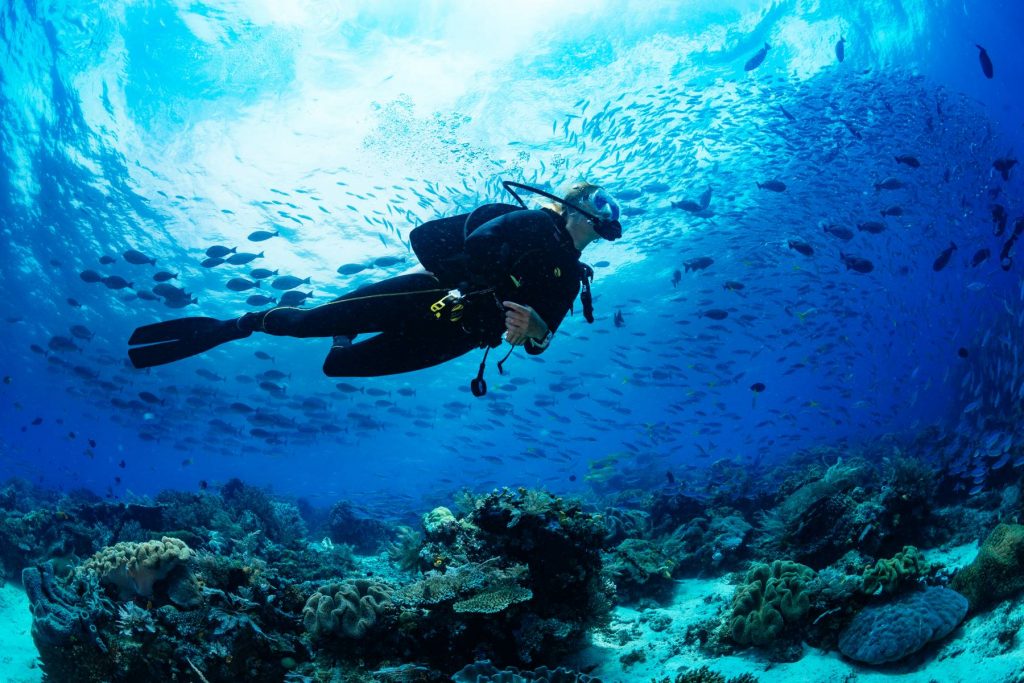 accident-la-diving-in-maldive:-cinci-italieni-si-au-pierdut-viata.-112-turisti-au-pierit-in-incidente-maritime-in-ultimii-6-ani