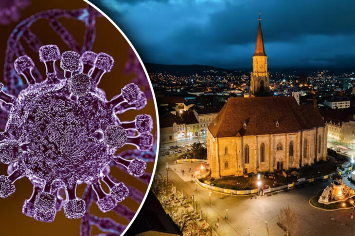 inca-un-caz-de-hantavirus-in-romania,-la-arad.