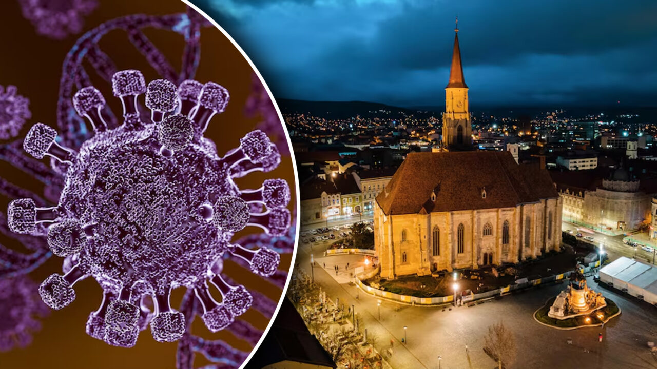inca-un-caz-de-hantavirus-in-romania,-la-arad.