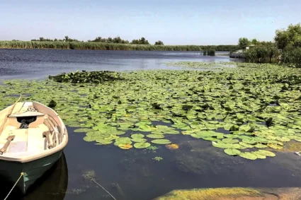 turistii-fug-de-delta-dunarii-dupa-alertele-cu-drone.-primarul-din-tulcea:-ne-a-afectat-cel-mai-mult