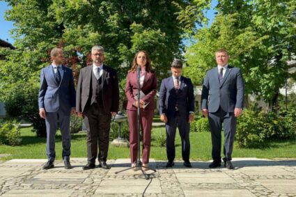 anamaria-gavrila,-dupa-consultari:-vom-sustine-orice-formula-pro-occidentala