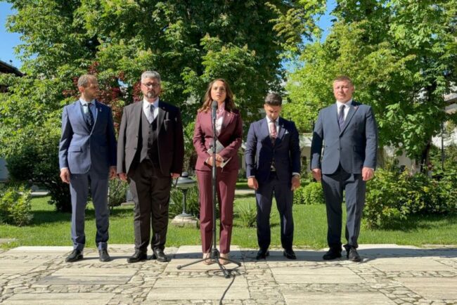 anamaria-gavrila,-dupa-consultari:-vom-sustine-orice-formula-pro-occidentala