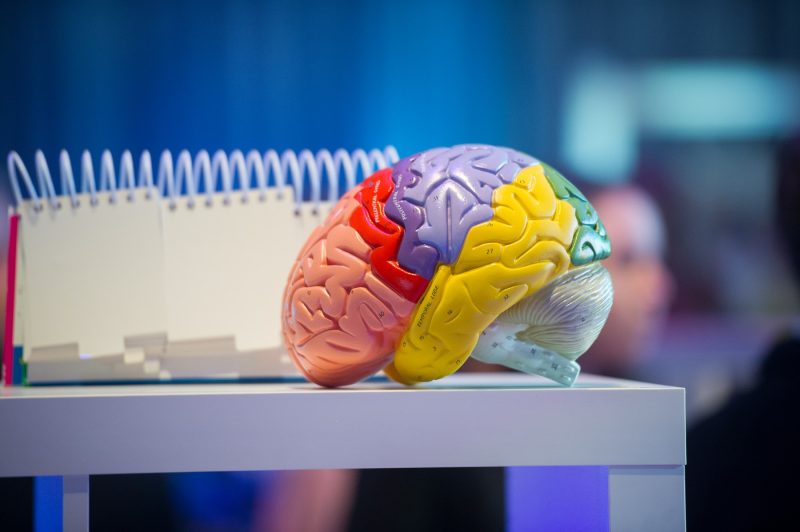 de-ce-nu-putem-face-transplant-de-creier:-operatia-care-ramane-imposibila-chiar-si-pentru-neurochirurgia-moderna
