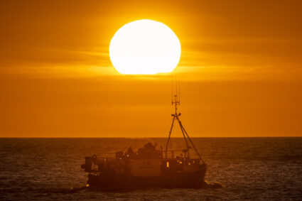 poluare-toxica-in-marea-britanie:-chimicalele-eterne-au-contaminat-ecosistemul-marin