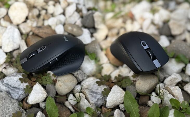 de-ce-ti-se-intrerupe-mouse-ul-wireless-si-ce-setari-simple-iti-rezolva-problema