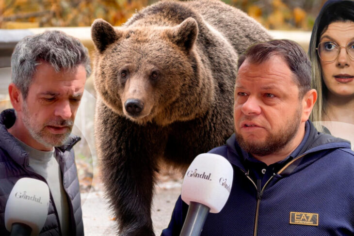 am-imagini-cu-sotia-alergata-de-urs-in-curte.-teroare-in-busteni