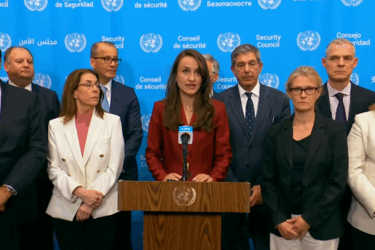 oana-toiu:-pentru-prima-oara-avem-raniti-in-randul-cetatenilor-romaniei.-sustinem-o-incetare-imediata-a-focului-in-ucraina