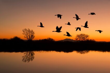un-lac-disparut-de-peste-un-secol-a-revenit-spectaculos,-apoi-a-inceput-sa-se-evapore-din-nou