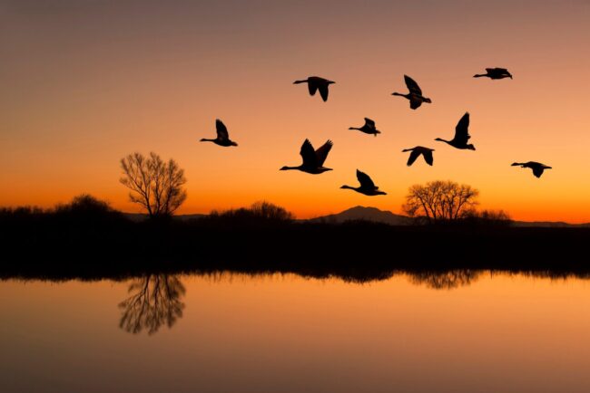 un-lac-disparut-de-peste-un-secol-a-revenit-spectaculos,-apoi-a-inceput-sa-se-evapore-din-nou