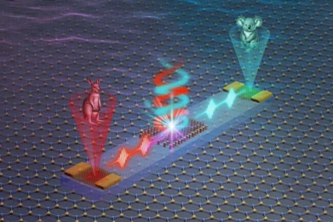 mini-cipul-care-foloseste-lumina,-nu-electricitate.-descoperirea-care-poate-revolutiona-inteligenta-artificiala