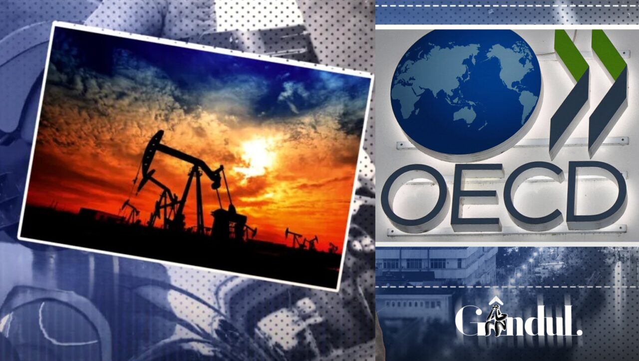 ocde-avertizeaza-asupra-unui-„scenariu-sumbru”-la-nivel-global:-preturile-la-energie-ar-putea-creste-cu-50%