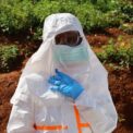 aproape-500-de-cazuri-de-ebola-confirmate.-specialistii-oms-trag-un-semnal-de-alarma