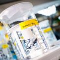 o-substanta-administrata-prin-injectie-repara-tesuturi-din-interior.-descoperirea-promitatoare-pentru-inima-si-creier