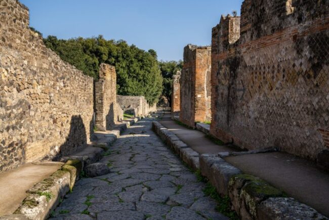 descoperire-surprinzatoare-la-pompeii.-arheologii-au-gasit-scheletul-unui-animal-folosit-in-productia-de-paine-inainte-de-eruptia-vezuviului