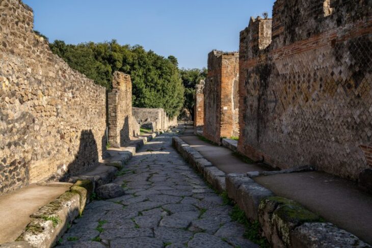 descoperire-surprinzatoare-la-pompeii.-arheologii-au-gasit-scheletul-unui-animal-folosit-in-productia-de-paine-inainte-de-eruptia-vezuviului