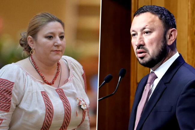 mircea-fechet-o-acuza-pe-dianei-sosoaca-de-„tradare-nationala”