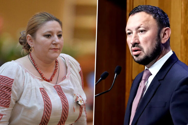 mircea-fechet-o-acuza-pe-dianei-sosoaca-de-„tradare-nationala”