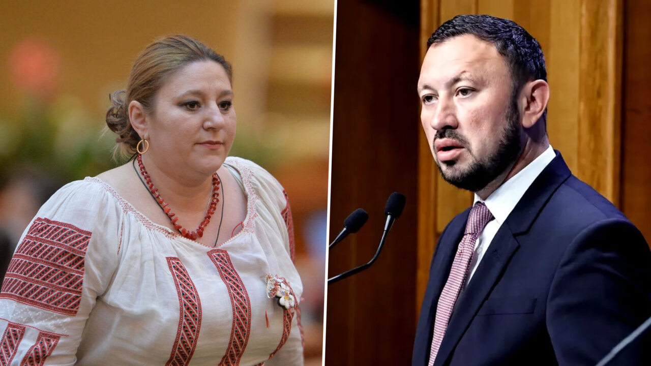 mircea-fechet-o-acuza-pe-dianei-sosoaca-de-„tradare-nationala”