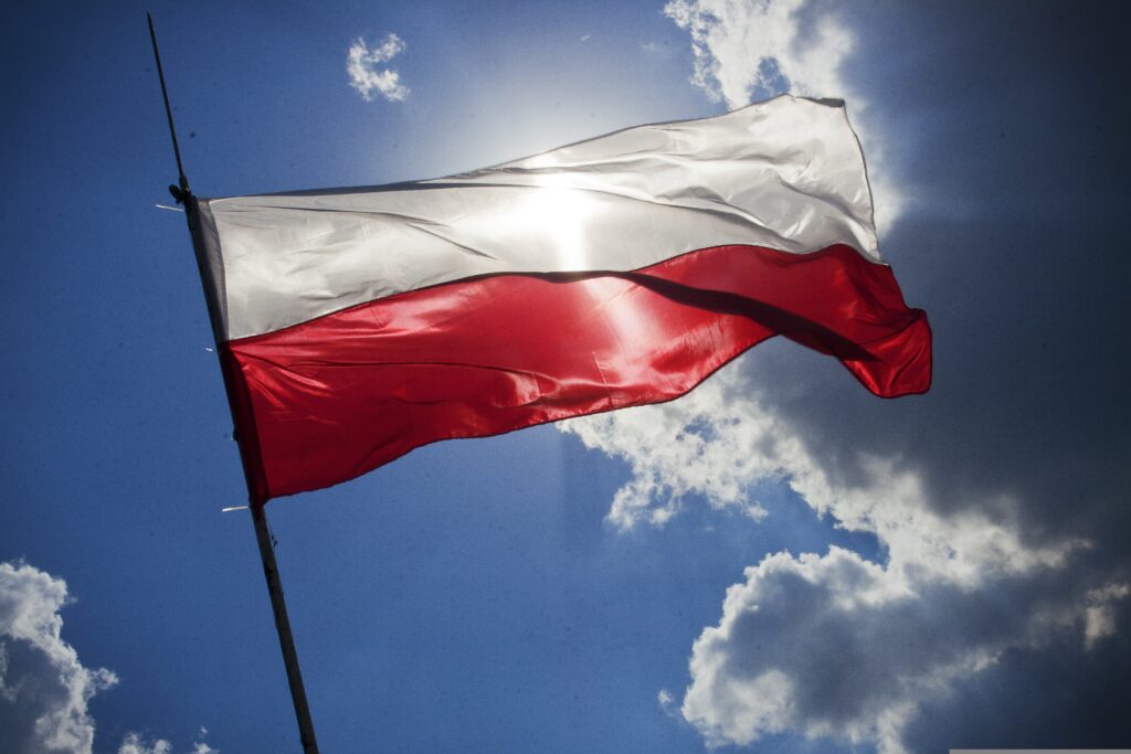 descoperire-macabra-in-polonia:-peste-30-de-cadavre-gasite-ingropate-pe-un-teren-privat