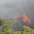 alerta-de-nivel-2-in-spania,-in-urma-unui-incendiu-de-vegetatie-care-a-ars-330-de-hectare.-mai-multi-oameni-sunt-evacuati