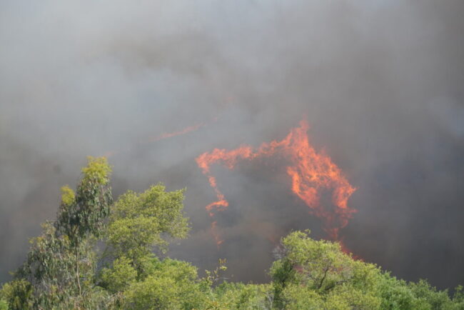 alerta-de-nivel-2-in-spania,-in-urma-unui-incendiu-de-vegetatie-care-a-ars-330-de-hectare.-mai-multi-oameni-sunt-evacuati