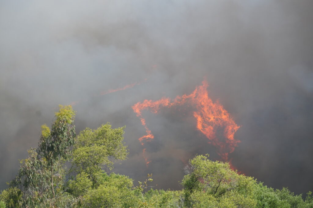 alerta-de-nivel-2-in-spania,-in-urma-unui-incendiu-de-vegetatie-care-a-ars-330-de-hectare.-mai-multi-oameni-sunt-evacuati