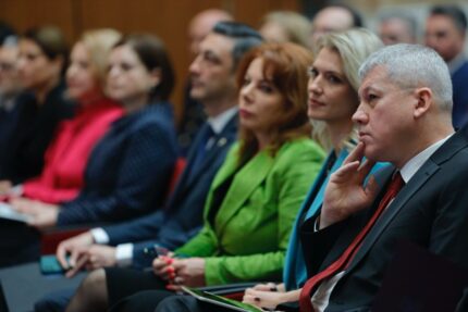 se-incing-spiritele-in-sedinta-pnl.-alina-gorghiu-a-facut-apel-sa-nu-se-ajunga-la-injurii