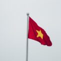 vietnam:-o-retea-masiva-de-hoti-de-pisici-a-fost-destructurata.-peste-400-de-animale,-care-urmau-sa-fie-sacrificate,-au-fost-salvate
