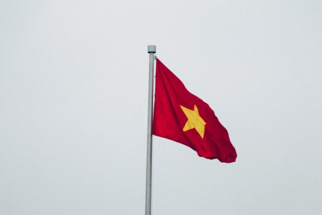 vietnam:-o-retea-masiva-de-hoti-de-pisici-a-fost-destructurata.-peste-400-de-animale,-care-urmau-sa-fie-sacrificate,-au-fost-salvate