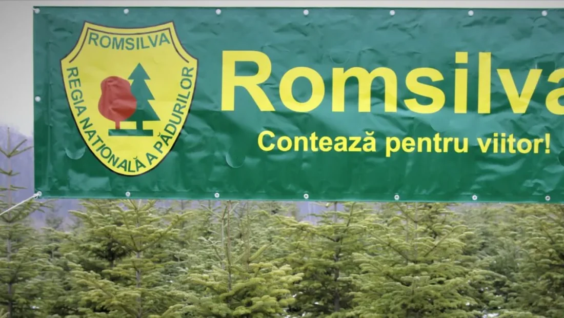 instanta-suprema-a-dat-verdictul-intr-un-dosar-cu-miza-uriasa