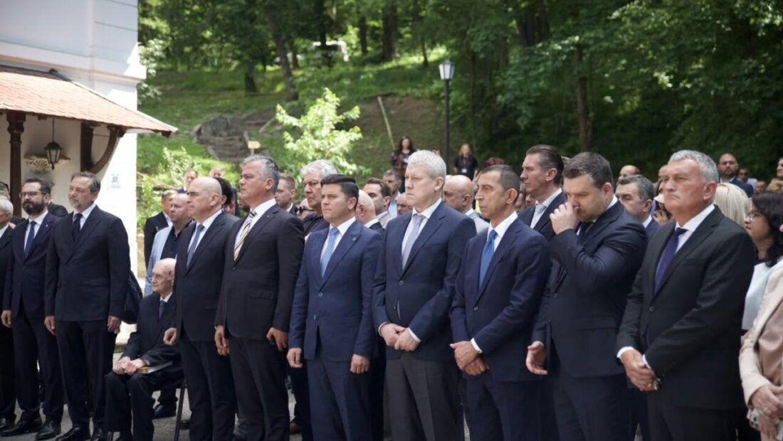 pnl-pregateste-opt-posturi-de-vicepresedinti