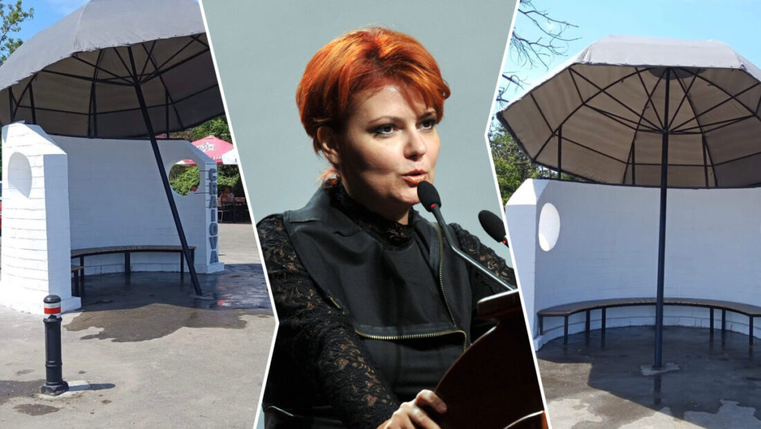 lia-olguta-vasilescu-ii-provoaca-pe-criticii-de-arta-urbana-cu-o-noua-statie-de-autobuz,-montata-in-craiova.-penultima-a-generat-un-intreg-scandal-online