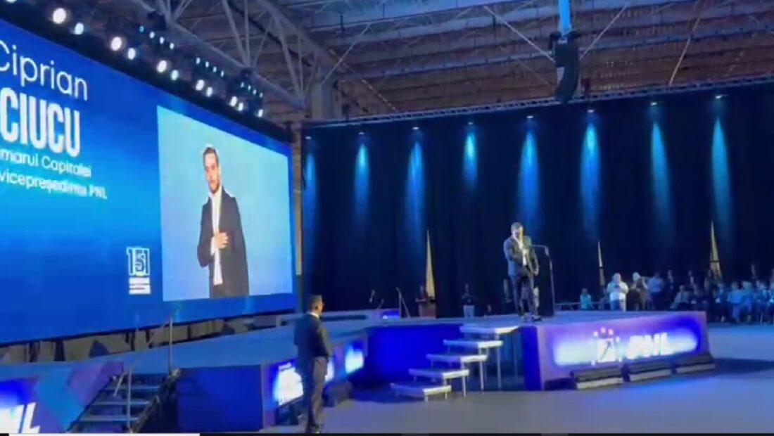 tapul-ispasitor-pentru-criza-din-pnl,-sistemul