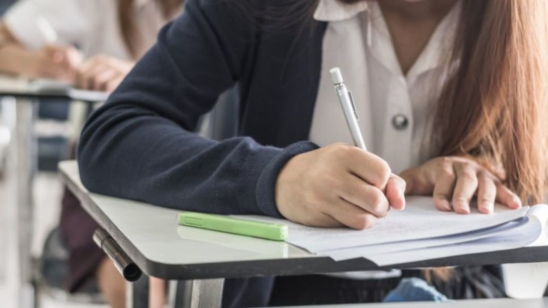 subiectele-la-limba-romana-la-evaluarea-nationala-2026-rezumat-si-argumentare-pe-baza-textelor-suport-de-veronica-d.-niculescu-si-carmen-strungaru