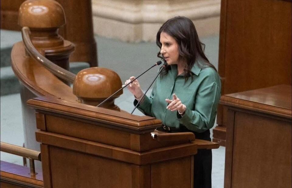 senator-pnl:-exista-doua-variante-de-guvern-minoritar-–-condus-de-psd-sau-din-pnl,-usr-si-udmr