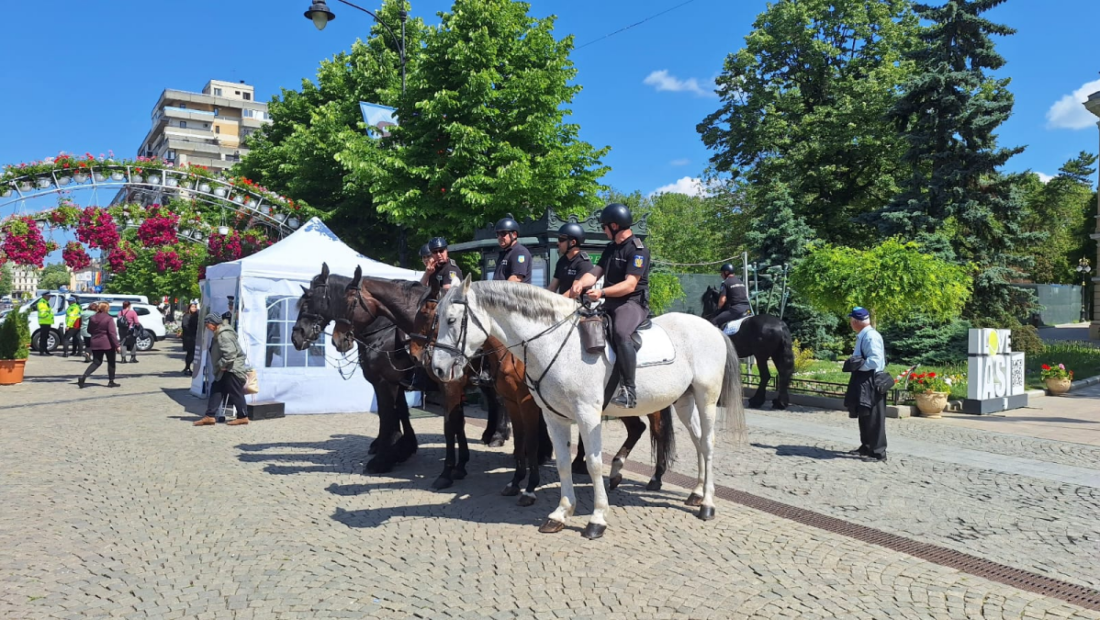 politia-locala-din-iasi-plateste-160000-de-lei-pentru-ingrijirea-cailor.-se-cauta-servicii-de-pensiune-pentru-cabalinele-de-la-politia-calare