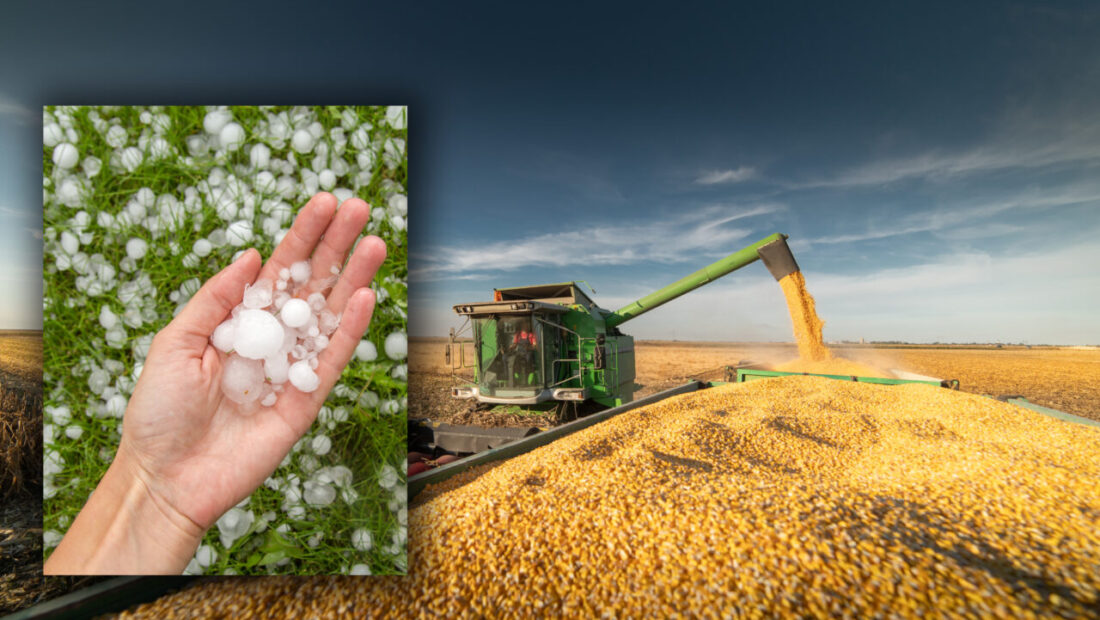 criza-politica-blocheaza-agricultura.-in-timp-ce-romania-este-traversata-de-un-episod-de-furtuni,-sistemul-antigrindina-ramane-nefunctional