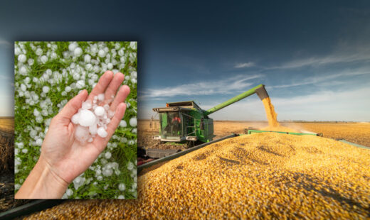 criza-politica-blocheaza-agricultura.-in-timp-ce-romania-este-traversata-de-un-episod-de-furtuni,-sistemul-antigrindina-ramane-nefunctional