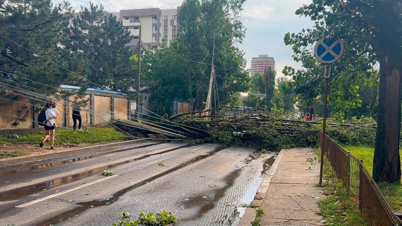 cum-pot-fi-evitate-tragediile-in-timp-de-furtuna.-motivul-pentru-care-cad-atat-de-multi-copaci-in-bucuresti-cand-sunt-vijelii