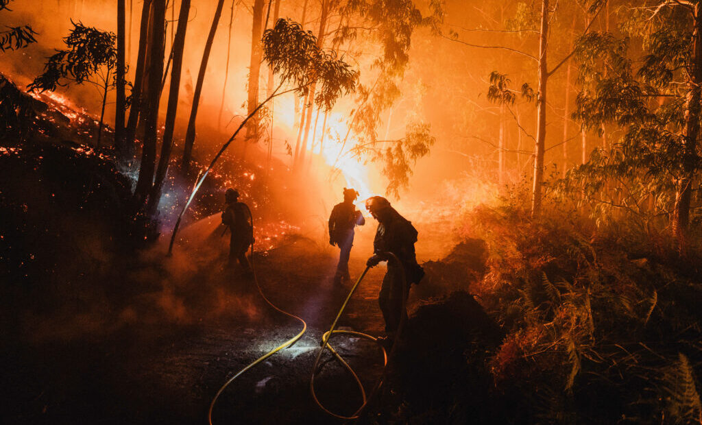 spania:-incendiile-de-vegetatie-au-ars-aproximativ-50.000-de-hectare-de-teren-in-ultimul-an