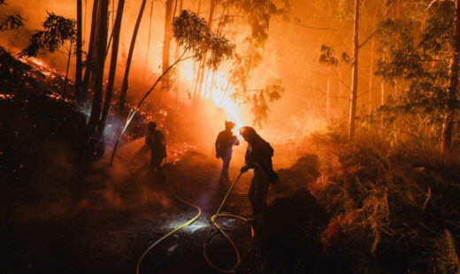 spania:-incendiile-de-vegetatie-au-ars-aproximativ-50.000-de-hectare-de-teren-in-ultimul-an